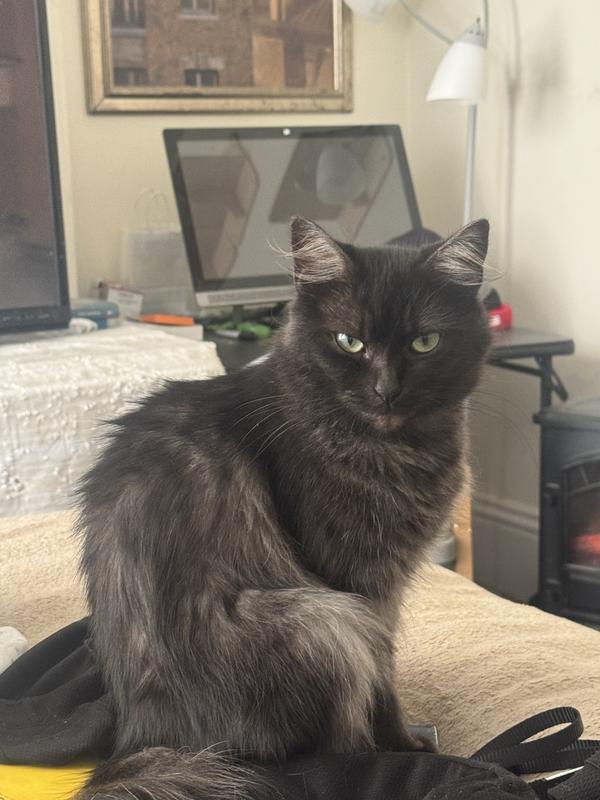 My coco says thank you