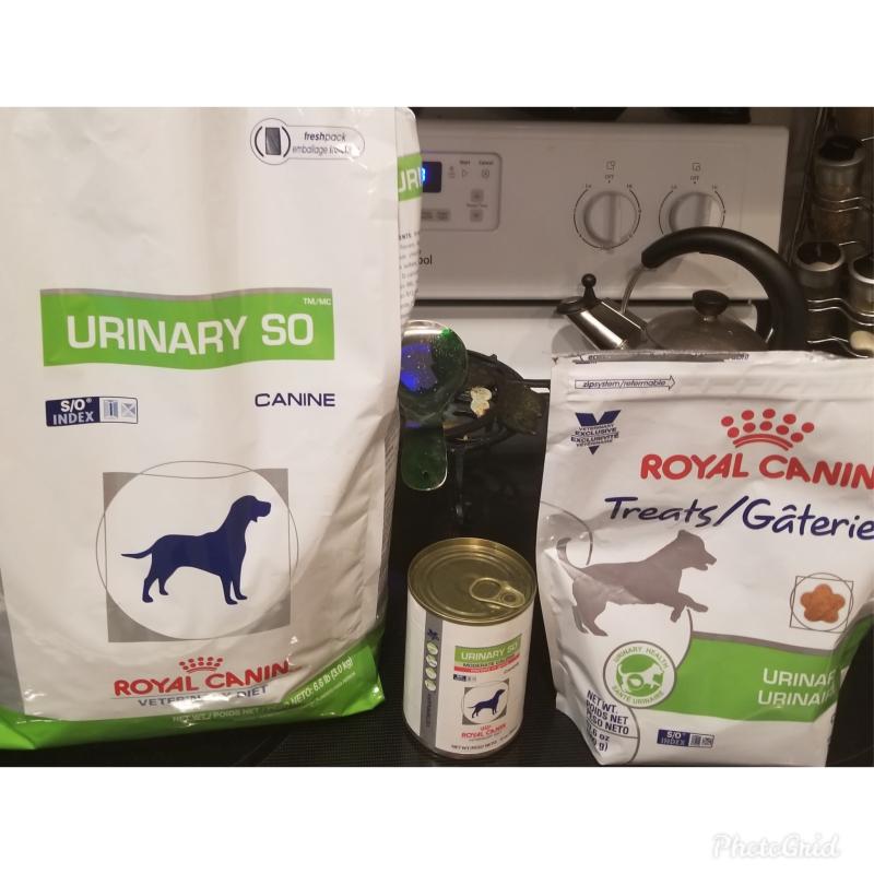 Urinary so clearance treats for dogs