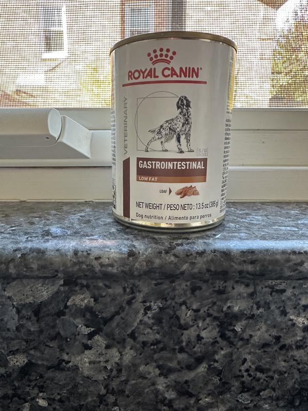 Royal canin gastro intestinal deals dog food tins