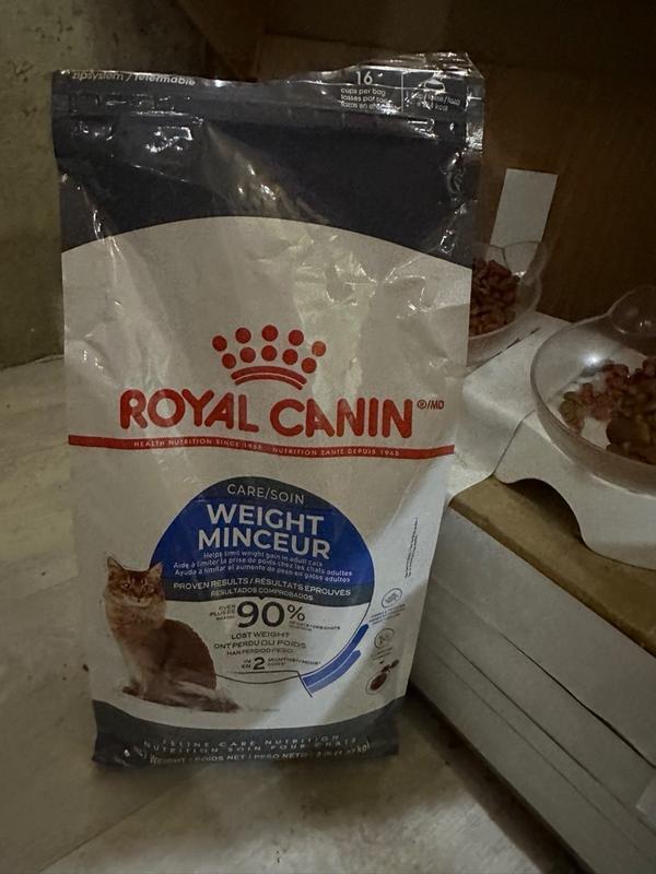 Dry cat food for weight outlet gain