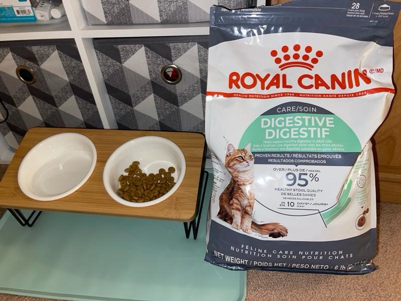 Digestive Care Dry Cat Food Royal Canin US