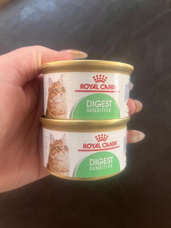 Feline Digestive Care Loaf In Sauce Royal Canin US