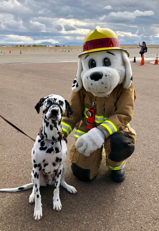 Domino feels much better these days! Now he gets to go to work with dad for Fire Prevention Week!