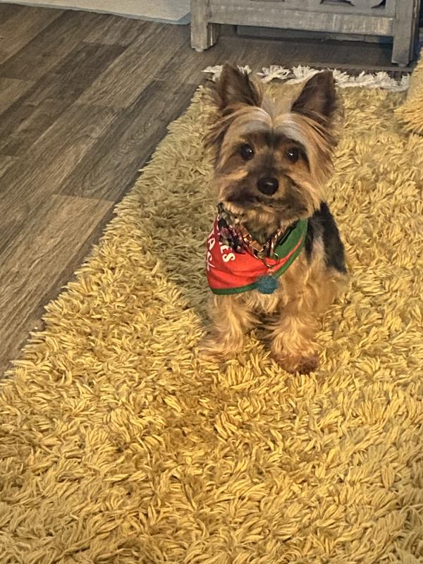 Feeling pretty cute today!