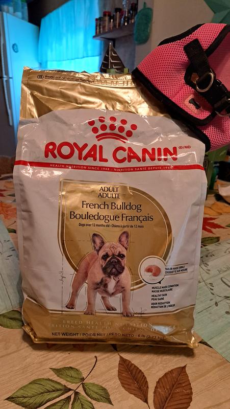 Royal Canin Bulldog Francese Adult