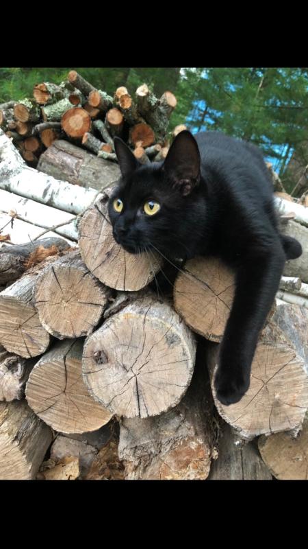 Lilly enjoying the great outdoors!