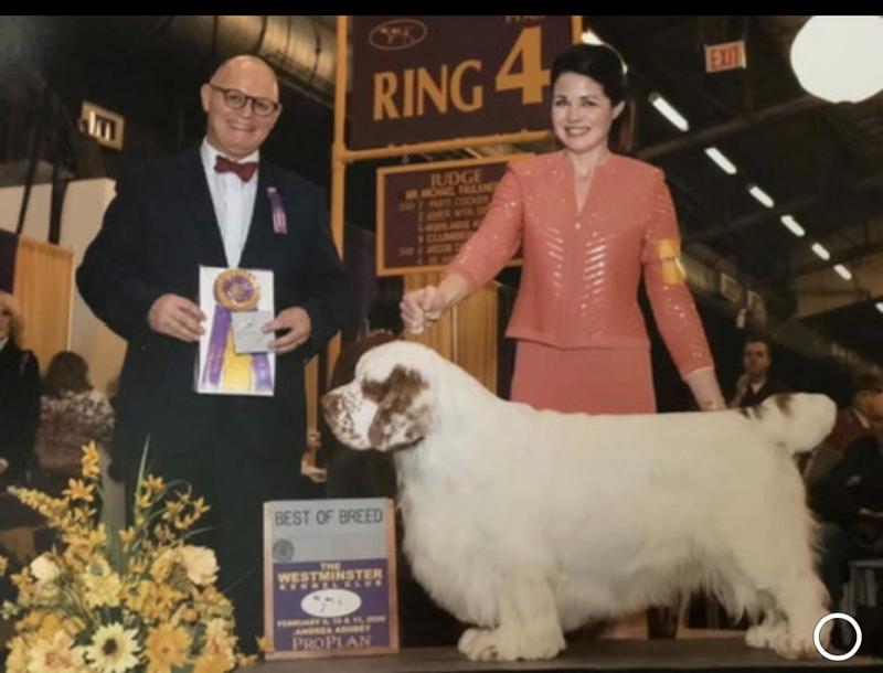 2020 WKC Breed Winner