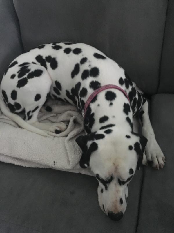 My cuddlebug!