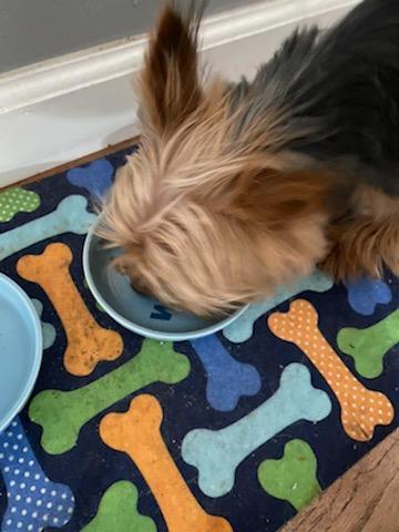 So good and gone so fast