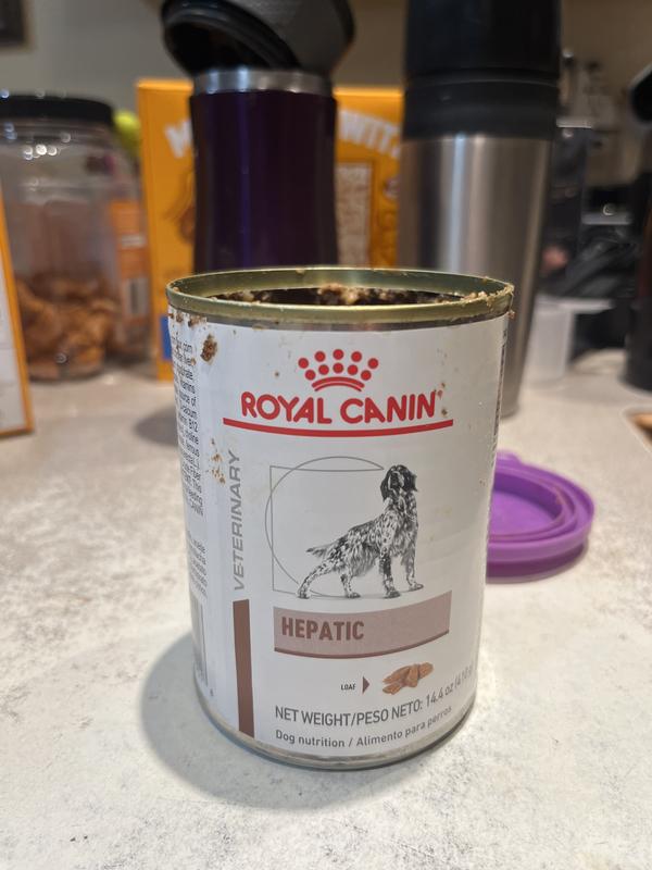 Royal canin hepatic shops support