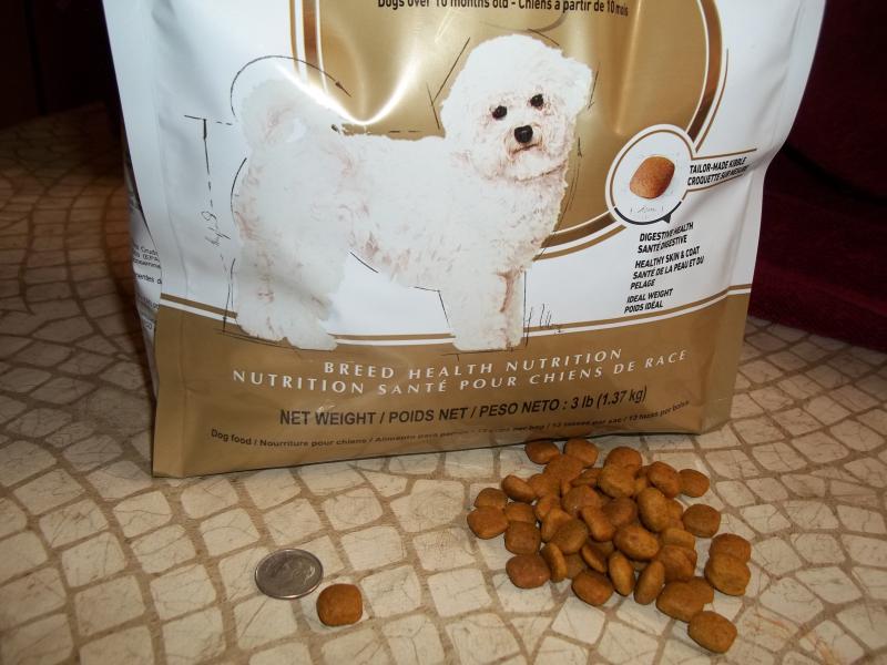 Bichon Frise Adult Dry Dog Food Royal Canin US