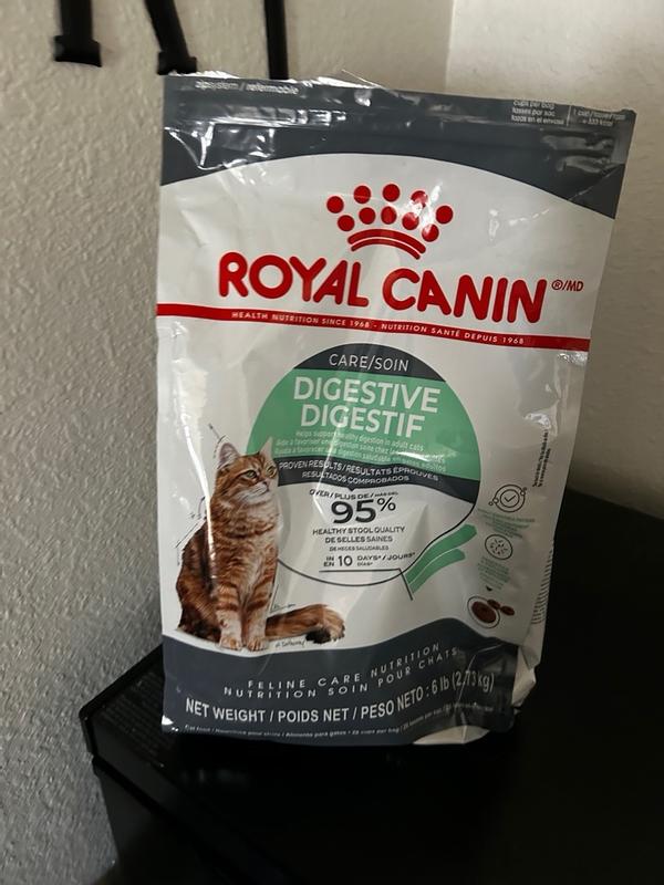 Digestive care outlet royal canin cat