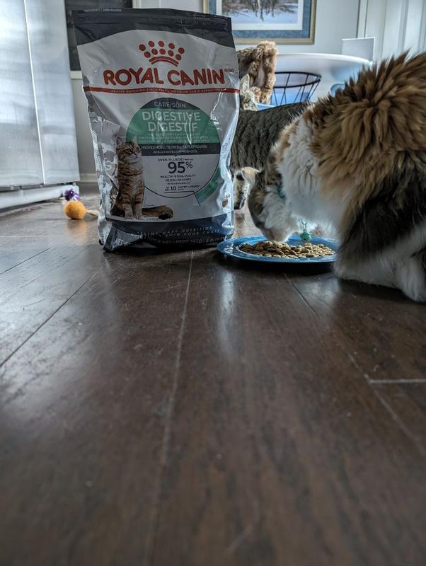 Cat food for digestive issues sale