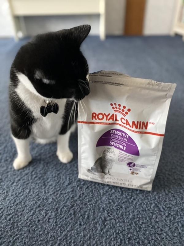 Royal canin sensitive outlet digestion review