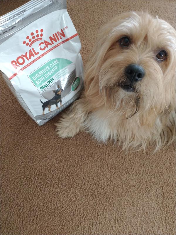 He loves Royal Canin