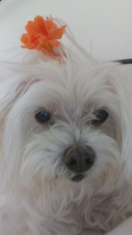 Mica @14 years