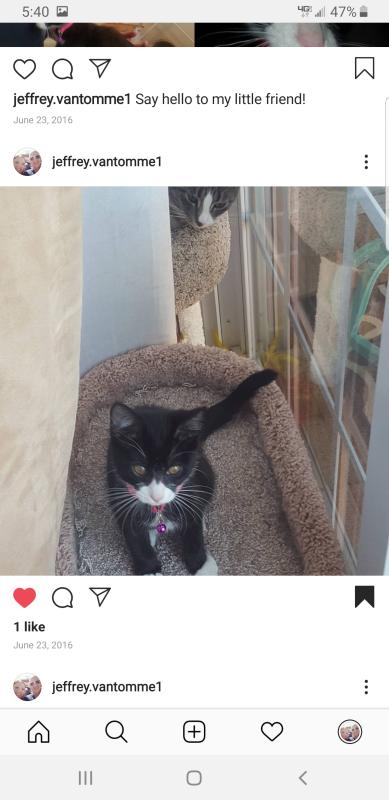 Say hello to our little friends!