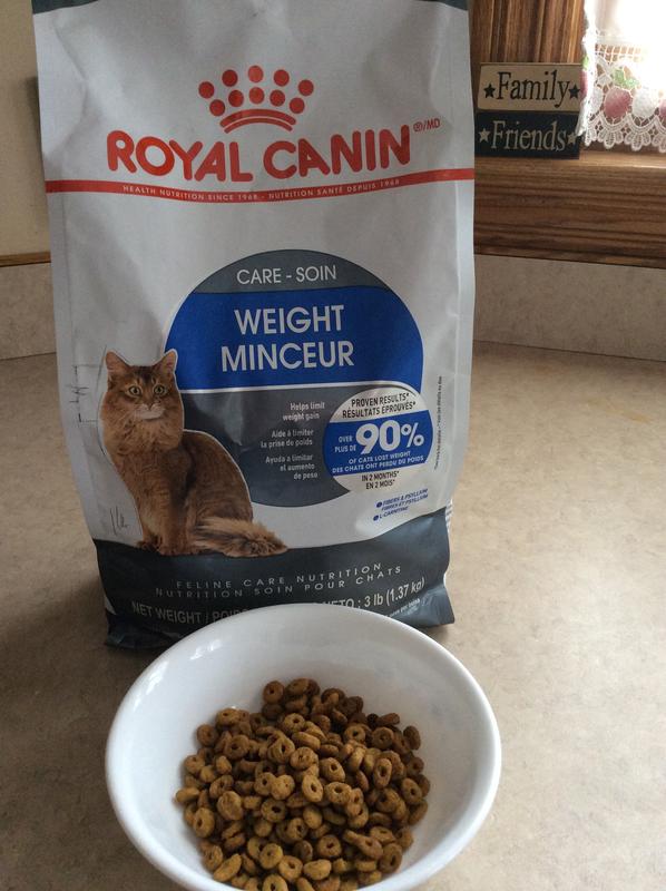 Royal canin outlet weight management cat