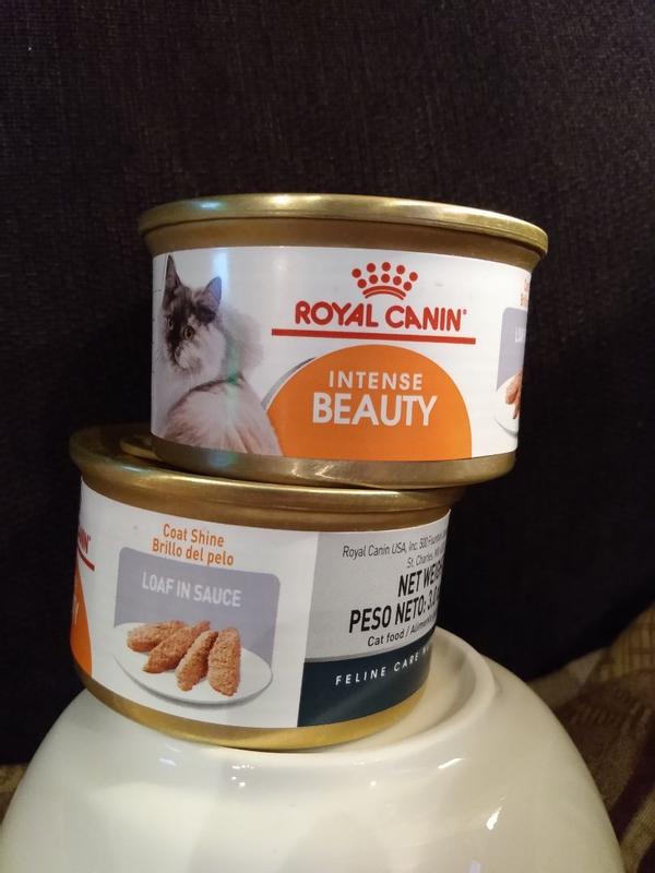 Royal canin intense 2024 beauty cat food