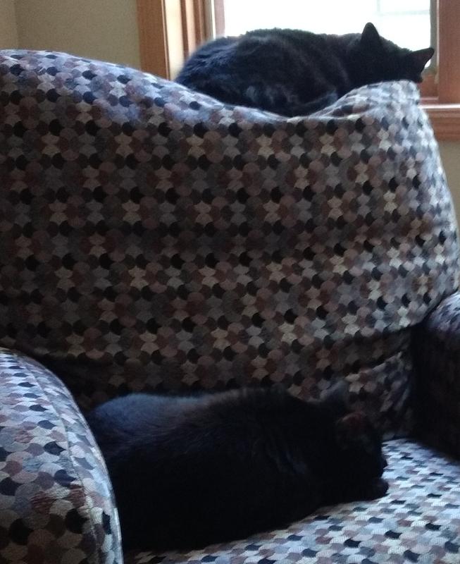 Nap time