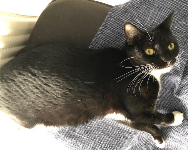 Tuxy