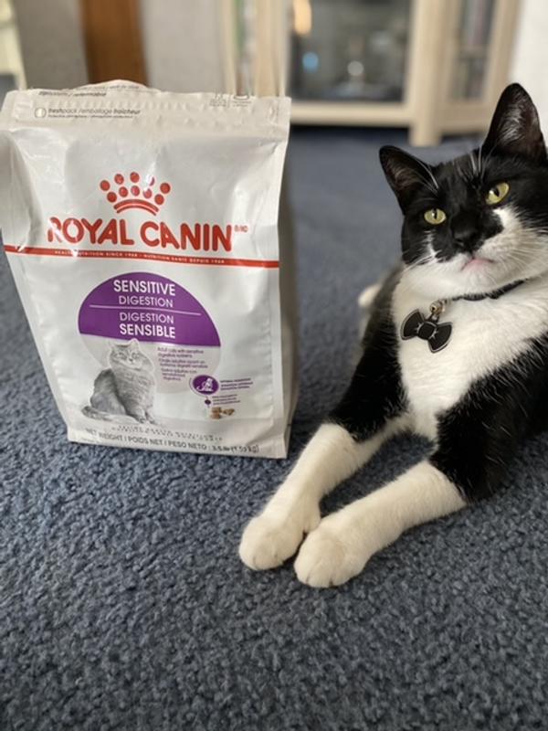 Sensitive digestion 2025 royal canin