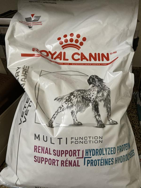 Canine Renal Support + Hydrolyzed Protein | Royal Canin US