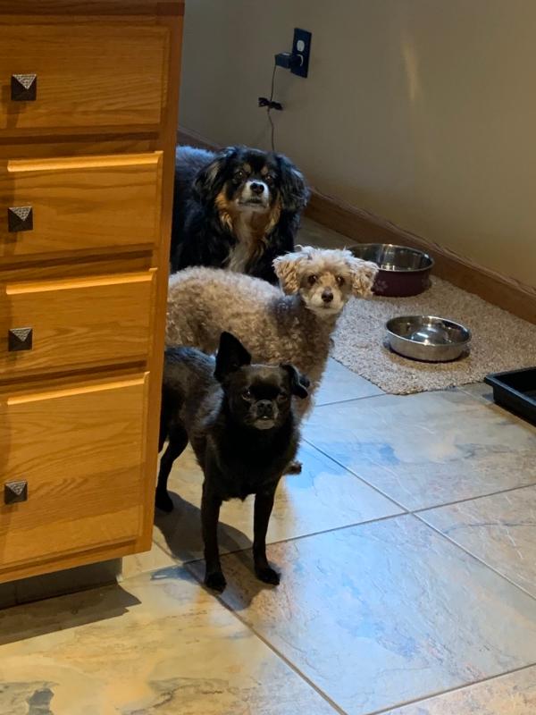 Is it time to eat!