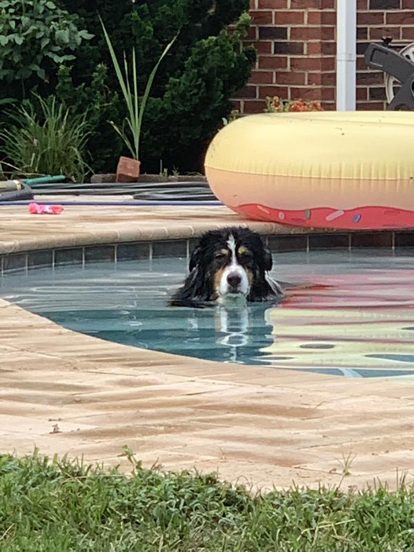 Summertime
