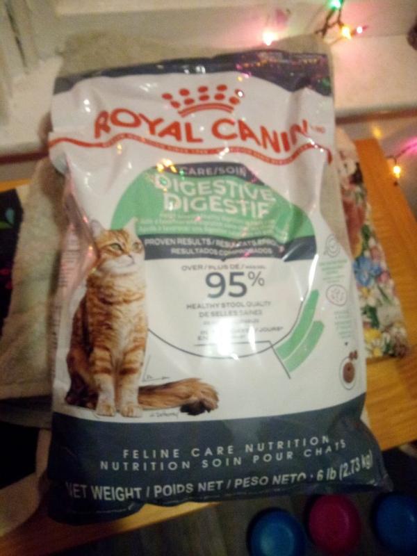 Royal Canin Dry Cat Food Digestive Comfort 14 lb Ren s Pets