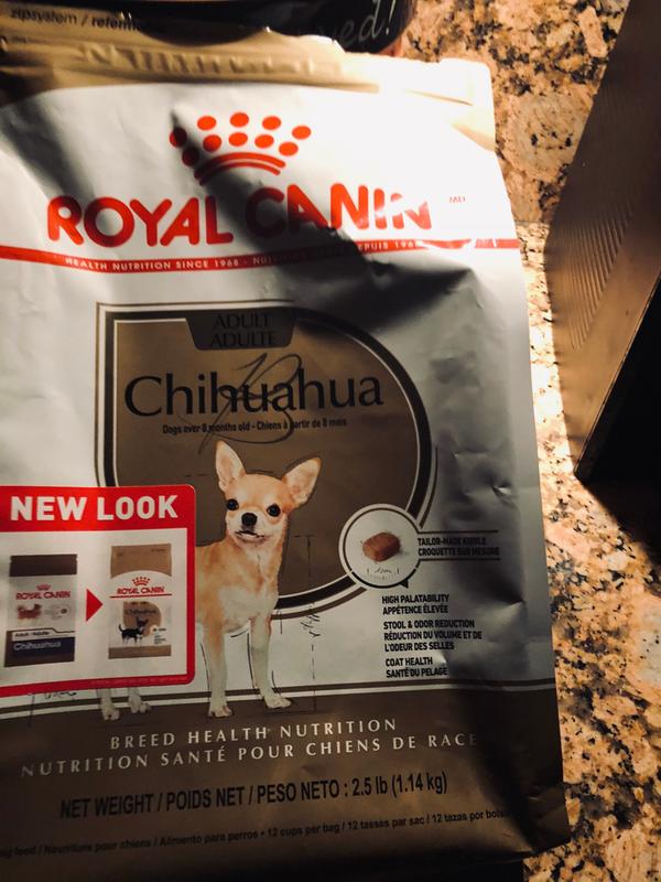 Dry Dog What's The Best Food For A Chihuahua Teacup Chihuahua
