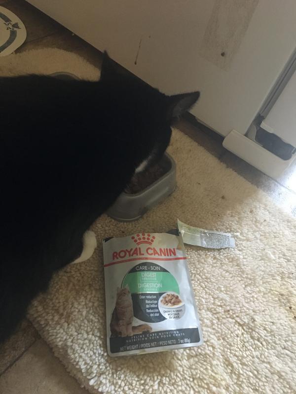 Digest Sensitive Thin Slices in Gravy Canned Cat Food Royal Canin US