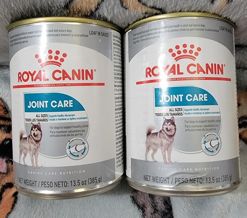 Royal canin joint care dog food sales