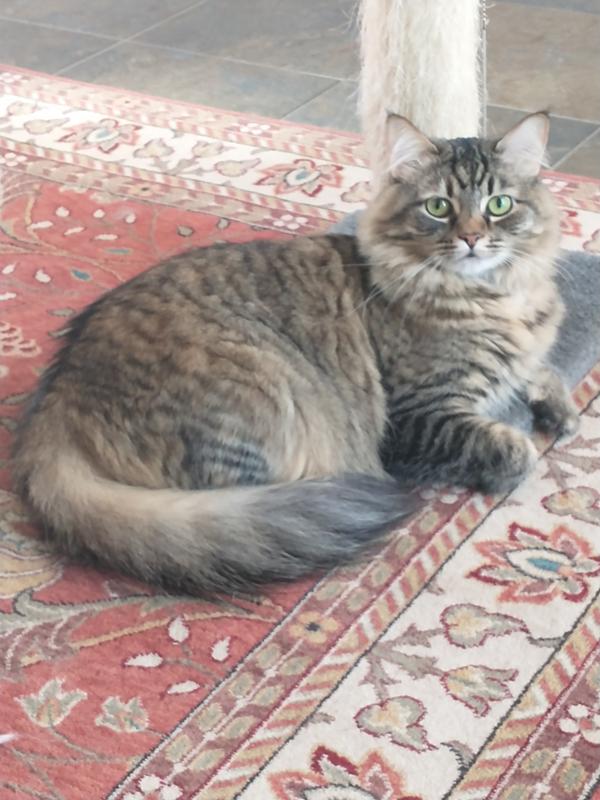 Pretty girl!