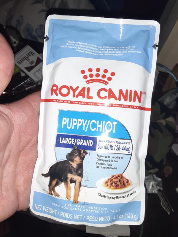 Royal canin hotsell puppy chiot large