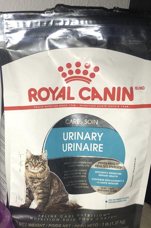 Urinary Care Dry Cat Food