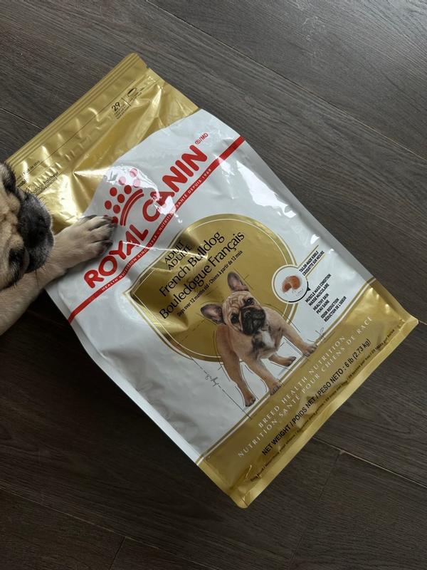 Royal Canin Breed Health Nutrition French Bulldog Adult Dry Dog Food Pet Supplies Plus