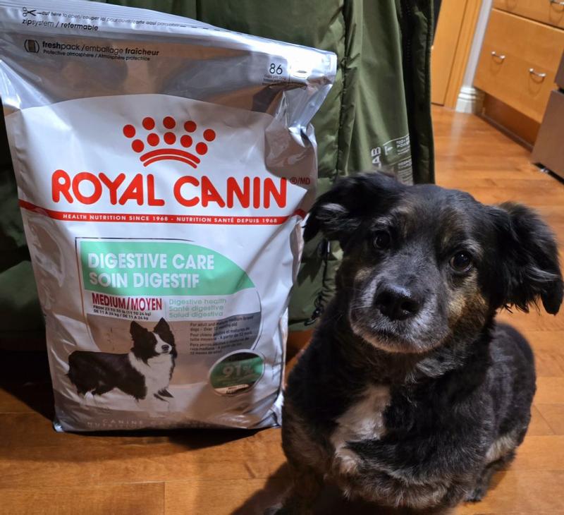 Medium Digestive Care Dry Dog Food Royal Canin CA