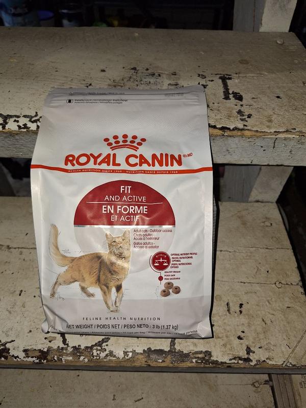 Fit And Active Dry Cat Food Royal Canin CA