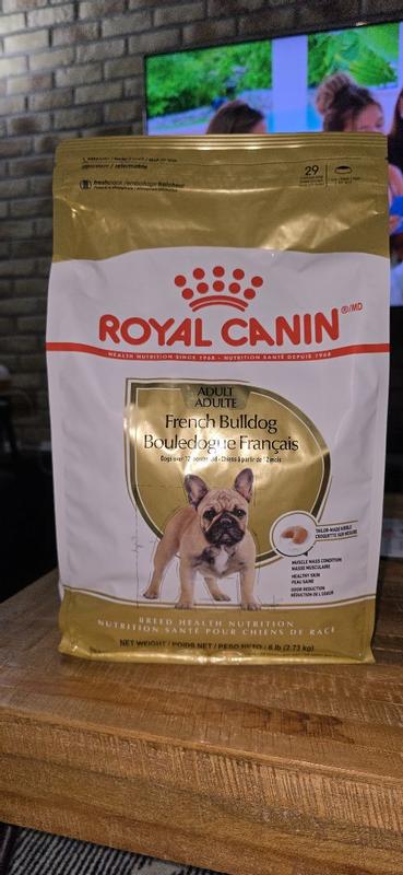 Fashion royal canin french bulldog 10kg