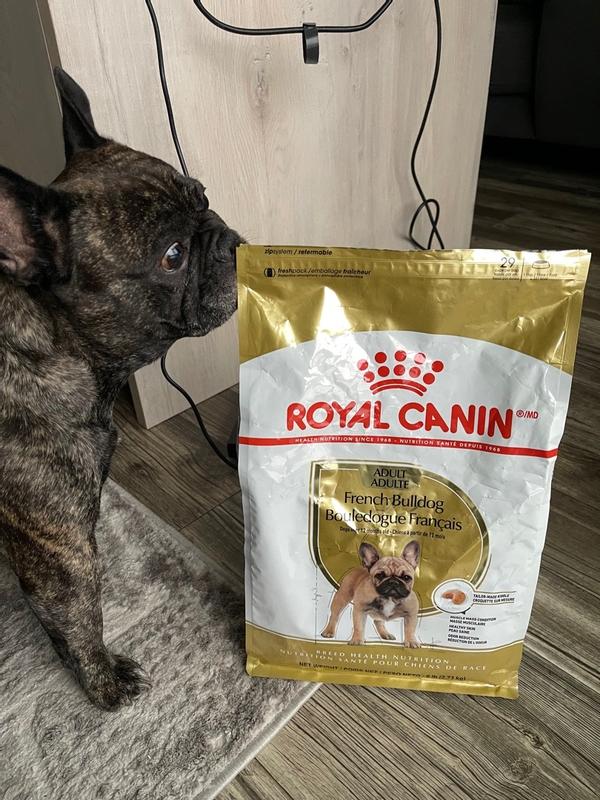 French Bulldog Adult Dry Dog Food Royal Canin CA