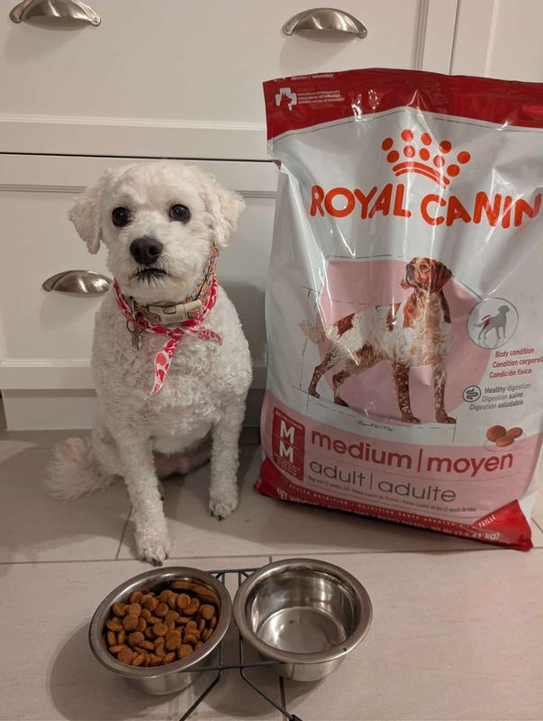 Royal Canin® Size Health Nutrition™ Medium Adult Dry Dog Food, 17