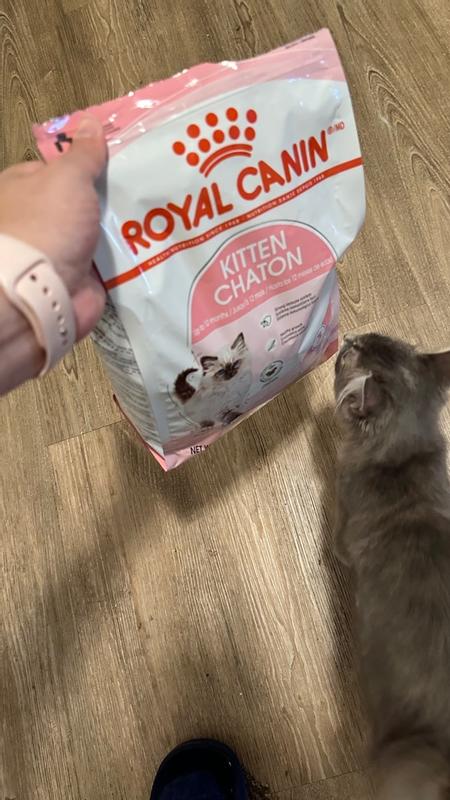 Royal canin my kitten sales