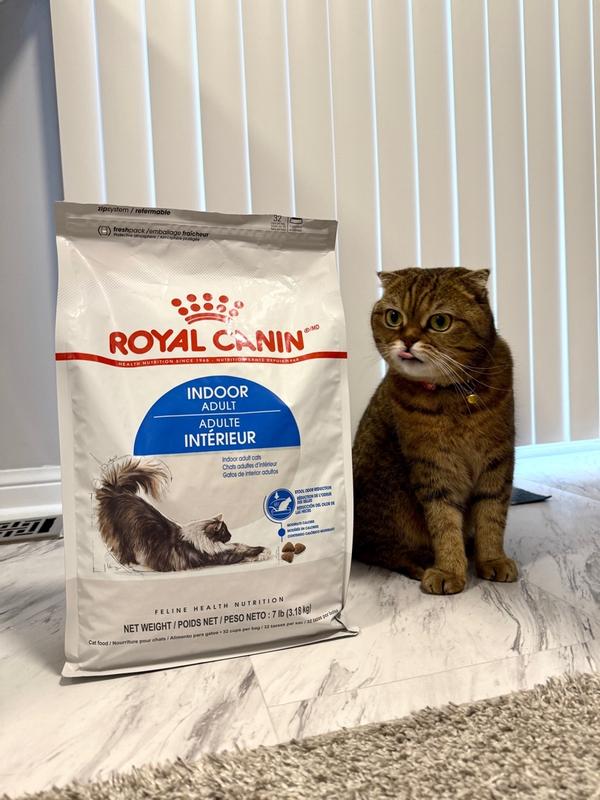Indoor Adult Dry Cat Food Royal Canin CA