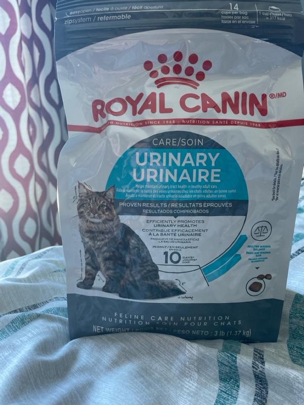 Royal Canin Feline Care Nutrition Urinary Care Dry Cat Food Pet Supplies Plus