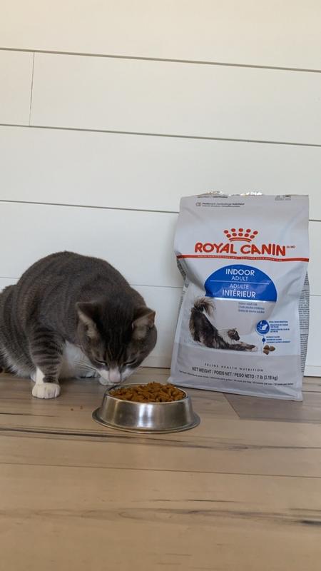 Indoor Adult Dry Cat Food Royal Canin CA