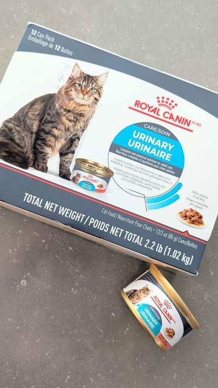 Urinary Care Thin Slices In Gravy Canned Cat Food Royal Canin CA
