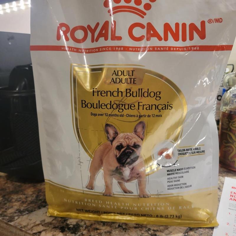 Fashion royal canin french bulldog 10kg