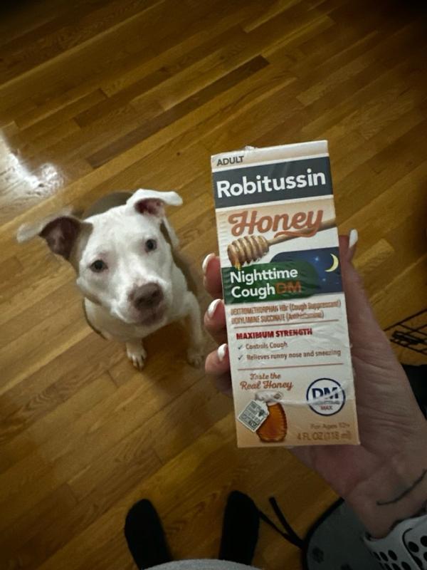 Dogs and robitussin best sale