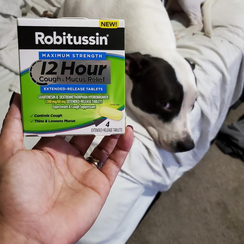 Can I Give My Dog Robitussin Dm